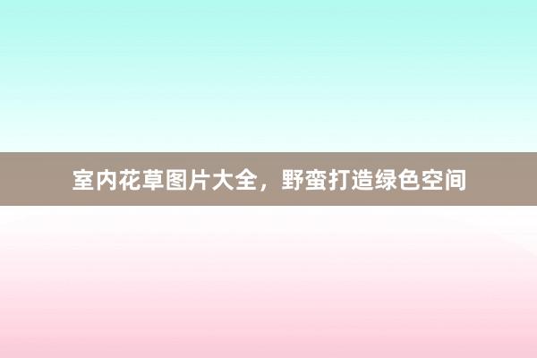室内花草图片大全,野蛮打造绿色空间