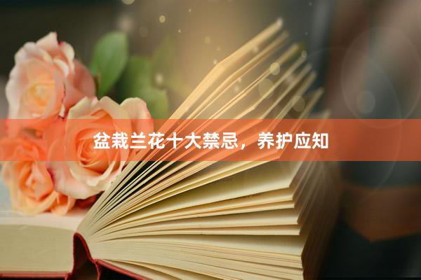 盆栽兰花十大禁忌，养护应知