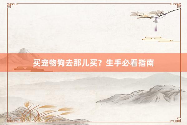 买宠物狗去那儿买？生手必看指南