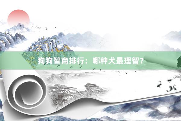 狗狗智商排行：哪种犬最理智？